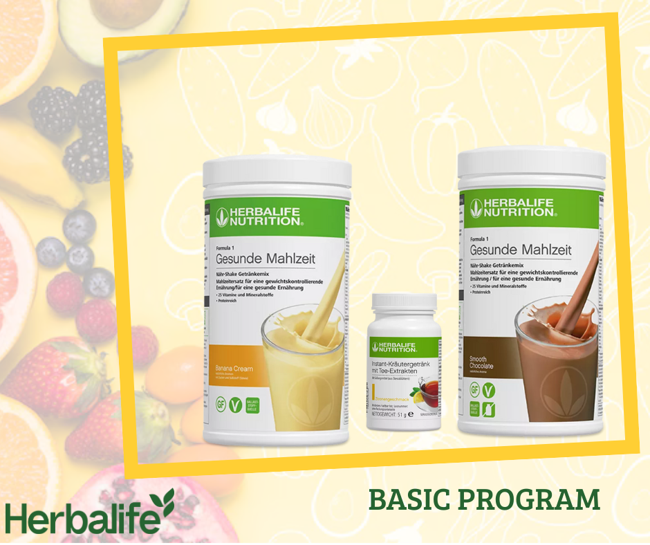„BASIS“-PROGRAMM